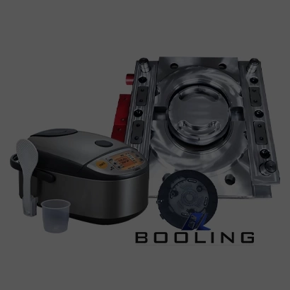 Rice Cooker Mold